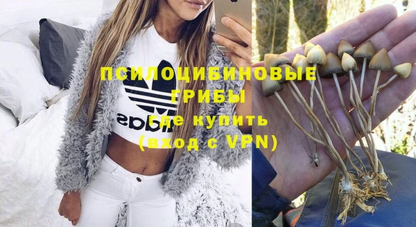 ALPHA PVP Нязепетровск
