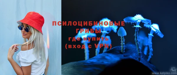 ALPHA PVP Нязепетровск