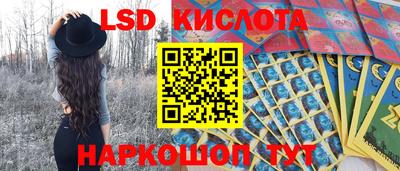 стафф Гусев