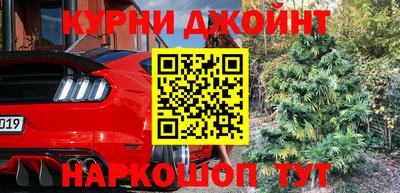 стафф Гусев