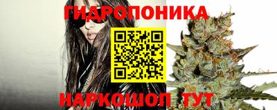 стафф Гусев