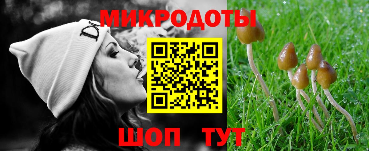 Псилоцибиновые грибы Cubensis  как найти закладки  Псилоцибиновые грибы GOLDEN TEACHER  Северобайкальск  Вход с VPN 